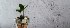 Debt Management