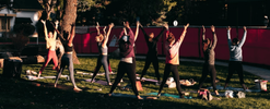 Health & Wellness
