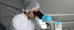 Medical & Healthcare Services