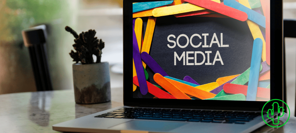 Social Media Privacy Usage &amp; How It Affects Your Reputation