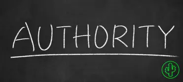 Why Your Domain Authority Matters and How to Find Your Score