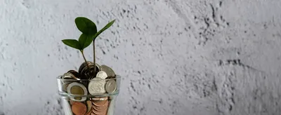 Debt Management