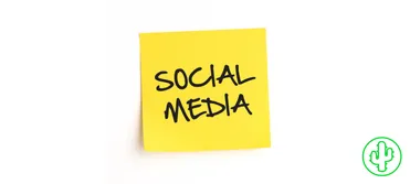 Navigating the Minefield of Social Media with Reputation Management