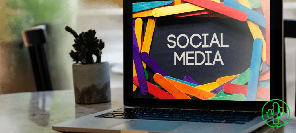 Social Media Privacy Usage &amp; How It Affects Your Reputation