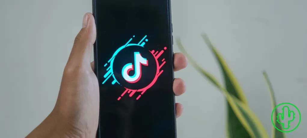 Using TikTok To Your Company&#8217;s Advantage