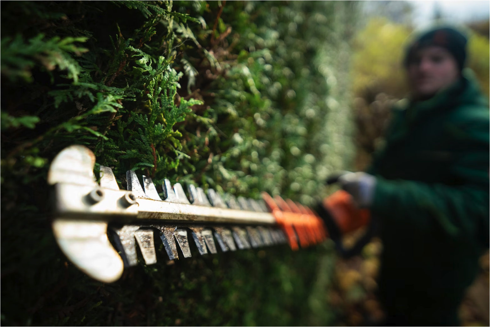 Local SEO + Paid Advertising for Landscaping Companies: A National Strategy to Improve Online Visibility, Page Rank, and AI Search Presence