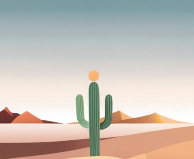 cactus sun soft desert